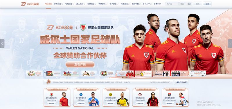 B华体会体育 - 德甲多特蒙德官方合作伙伴 2 B华体会体育简介